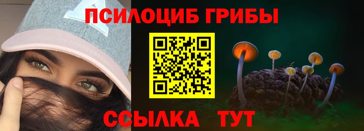 Галлюциногенные грибы Cubensis  Вход с VPN  Бузулук 